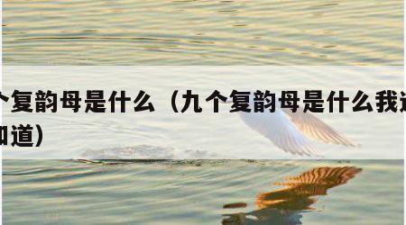 九个复韵母是什么（九个复韵母是什么我还真不知道）