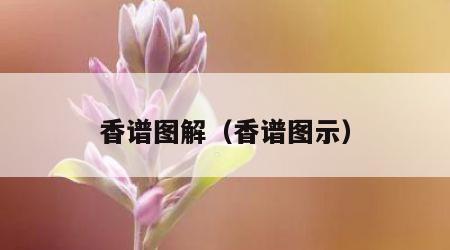 香谱图解（香谱图示）
