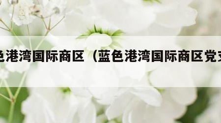 蓝色港湾国际商区（蓝色港湾国际商区党支部）