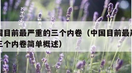 中国目前最严重的三个内卷（中国目前最严重的三个内卷简单概述）