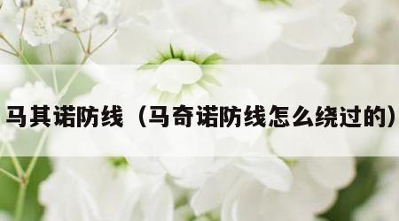 马其诺防线（马奇诺防线怎么绕过的）