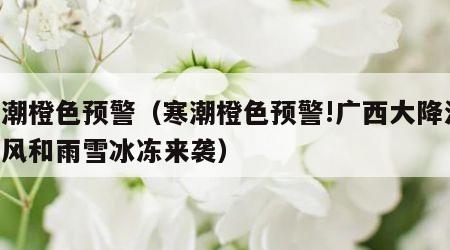 寒潮橙色预警（寒潮橙色预警!广西大降温,大风和雨雪冰冻来袭）