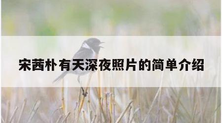 宋茜朴有天深夜照片的简单介绍