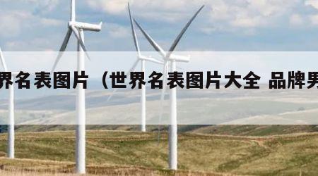 世界名表图片（世界名表图片大全 品牌男士）