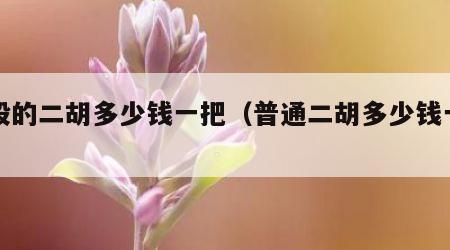 一般的二胡多少钱一把（普通二胡多少钱一把）