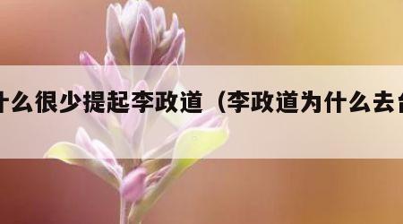 为什么很少提起李政道（李政道为什么去台湾）