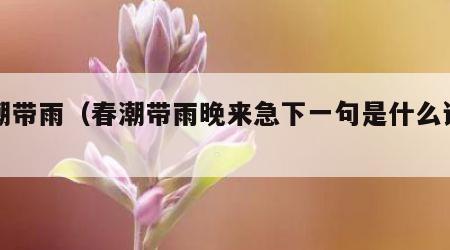 春潮带雨（春潮带雨晚来急下一句是什么诗句）