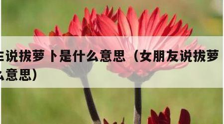 女生说拔萝卜是什么意思（女朋友说拔萝卜是什么意思）