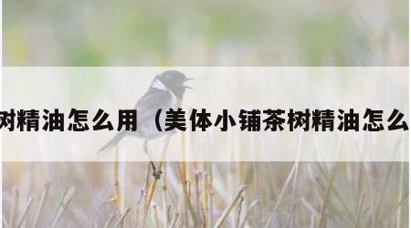 茶树精油怎么用（美体小铺茶树精油怎么用）