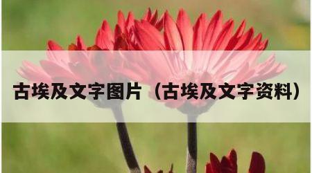 古埃及文字图片（古埃及文字资料）
