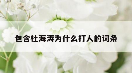 包含杜海涛为什么打人的词条