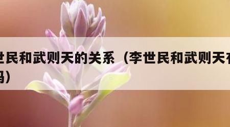 李世民和武则天的关系（李世民和武则天有关系吗）