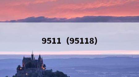 9511（95118）