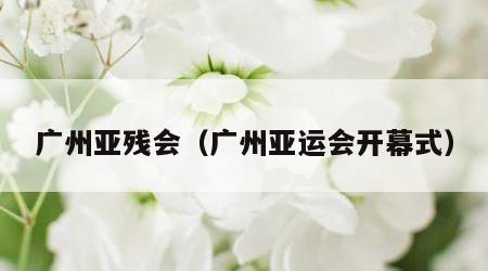 广州亚残会（广州亚运会开幕式）