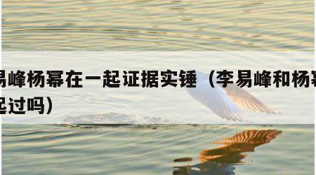 李易峰杨幂在一起证据实锤（李易峰和杨幂在一起过吗）