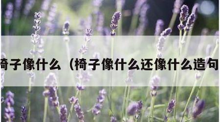 椅子像什么（椅子像什么还像什么造句）