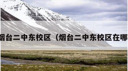 烟台二中东校区（烟台二中东校区在哪）