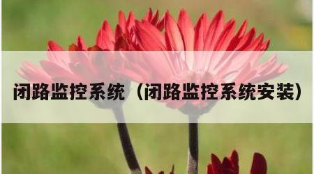 闭路监控系统（闭路监控系统安装）