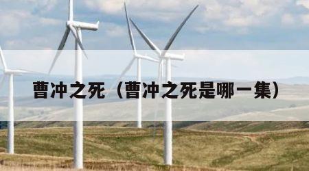 曹冲之死（曹冲之死是哪一集）