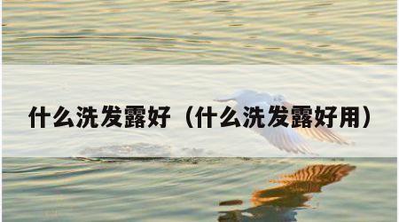 什么洗发露好（什么洗发露好用）