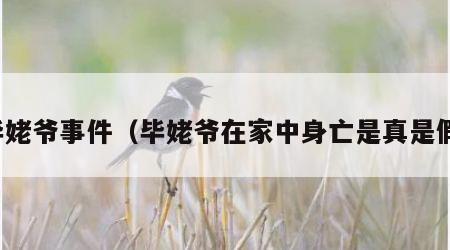 毕姥爷事件（毕姥爷在家中身亡是真是假）