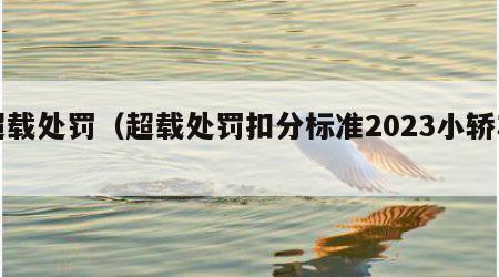 超载处罚（超载处罚扣分标准2023小轿车）