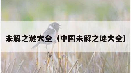 未解之谜大全（中国未解之谜大全）