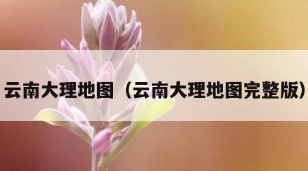 云南大理地图（云南大理地图完整版）