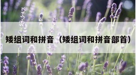 矮组词和拼音（矮组词和拼音部首）