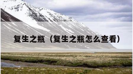 复生之瓶（复生之瓶怎么查看）
