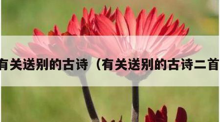 有关送别的古诗（有关送别的古诗二首）