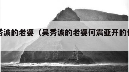 吴秀波的老婆（吴秀波的老婆何震亚开的什么车）