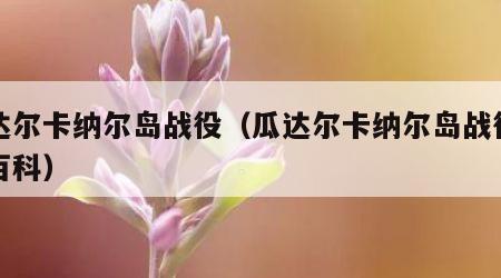 瓜达尔卡纳尔岛战役（瓜达尔卡纳尔岛战役百度百科）