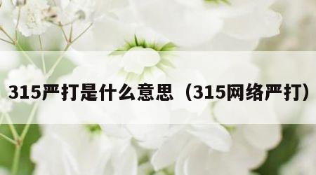 315严打是什么意思（315网络严打）