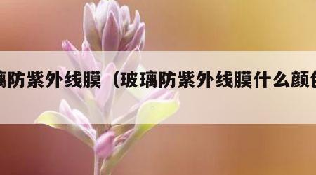 玻璃防紫外线膜（玻璃防紫外线膜什么颜色好）