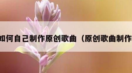如何自己制作原创歌曲（原创歌曲制作）