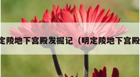 定陵地下宫殿发掘记（明定陵地下宫殿）