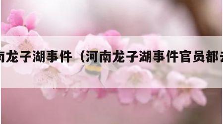 河南龙子湖事件（河南龙子湖事件官员都去哪了）