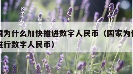 中国为什么加快推进数字人民币（国家为什么要推行数字人民币）