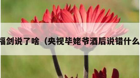 毕福剑说了啥（央视毕姥爷酒后说错什么话）