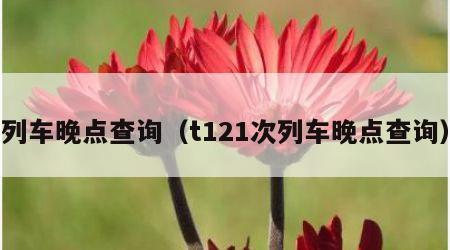 列车晚点查询（t121次列车晚点查询）