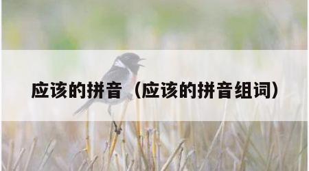 应该的拼音（应该的拼音组词）