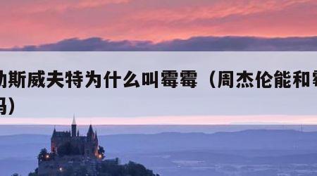 泰勒斯威夫特为什么叫霉霉（周杰伦能和霉霉比吗）