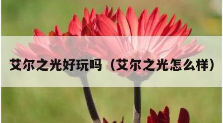 艾尔之光好玩吗（艾尔之光怎么样）