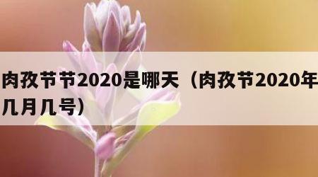 肉孜节节2020是哪天（肉孜节2020年几月几号）