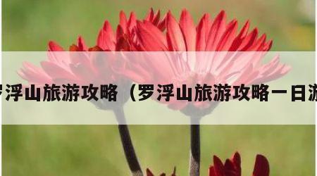 罗浮山旅游攻略（罗浮山旅游攻略一日游）