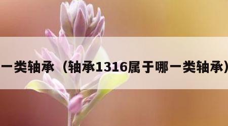 一类轴承（轴承1316属于哪一类轴承）