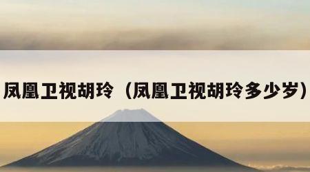 凤凰卫视胡玲（凤凰卫视胡玲多少岁）