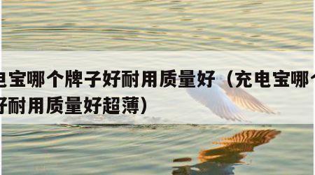 充电宝哪个牌子好耐用质量好（充电宝哪个牌子好耐用质量好超薄）