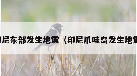 印尼东部发生地震（印尼爪哇岛发生地震）